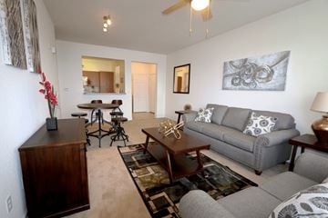 Clermont apartment for rent - A living room with a grey couch and a wooden coffee table.