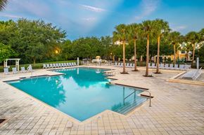 Clermont apartment for rent - A large swimming pool surrounded by palm trees and lounge chairs.