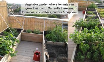 Rooftop planters garden