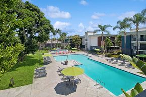 Anaheim apartment for rent - Aerial View of Community Swimming Pool with Pool Furniture at Madison Park Apartments located in Anaheim, CA.