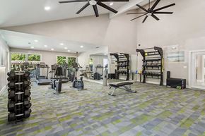 Peachtree Corners apartment for rent - Community Fitness Center with Equipment at Lakeside Retreat Apartments located in Peachtree Corners, GA.