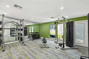 Dallas apartment for rent - Community Fitness Center with Equipment at Bridges at Deer Run Apartments in Dallas, TX.