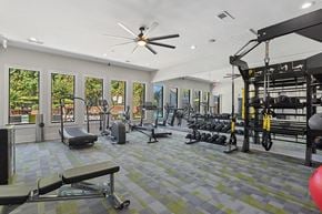 Lithonia apartment for rent - Community Fitness Center with Equipment at Retreat at Stonecrest Apartments located in Lithonia, GA.