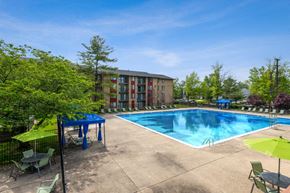 Silver Spring apartment for rent - Swimming Pool