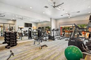 Surprise apartment for rent - Apartments in Surprise, AZ, with In-Unit Washer and Dryer - Harmony at Surprise - A Fitness Center With Cardio Equipment, Dumbbell Rack, Weight Benches, Mirrored Wall, And Ceiling Fans.