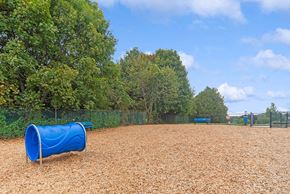 Marlborough apartment for rent - Community Dog Park with Agility Equipment at Heights at Marlborough Apartments located in Marlborough, MA.