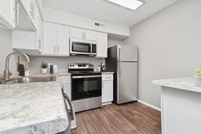 Raleigh apartment for rent - Model kitchen with stainless steel appliances