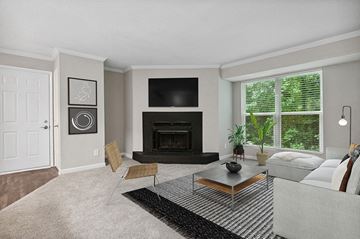 Charlotte apartment for rent - a living room with a couch and a fireplace