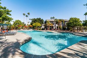 Phoenix apartment for rent - Pool with apartment building and tree in background