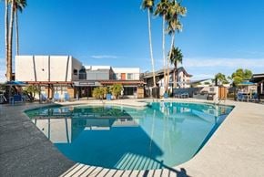 Mesa apartment for rent - Pet-Friendly Apartments in Mesa, AZ - The District at Fiesta Park - Resort Style Swimming Pool With Sundeck Seating, Palm Trees, And A Courtyard Under Blue Sky.