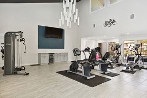 Tampa apartment for rent - Community Fitness Center with Equipment at Seven Lakes at Carrollwood Apartments in Tampa, FL.