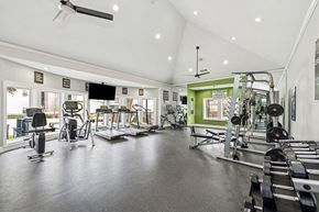 Lewisvillle apartment for rent - Community Fitness Center with Equipment at Bridges at Oakbend Apartments located in Lewisville, TX.