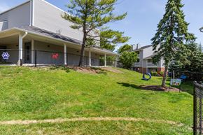 Aurora apartment for rent - Community dog park with 2 trees, grass, and dog tunnel.
