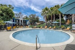 La Mesa apartment for rent - Community Swimming Pool with Pool Furniture at Cove La Mesa Apartments located in La Mesa, CA.