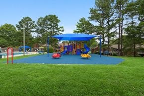 Raleigh apartment for rent - Dog-Friendly Apartments in Raleigh, NC - Spring Forest - A Playground With Slides, Climbing Structure, Blue Shade Canopy, And Open Grassy Lawn Near Pool.