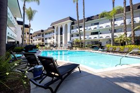 San Diego apartment for rent - A pool surrounded by lounge chairs and palm trees.