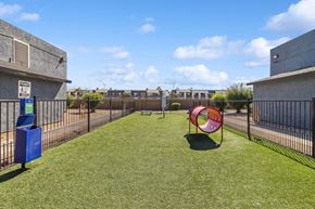 Las Vegas apartment for rent - Fenced dog park at Accent on Sahara apartments