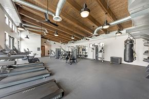 Pflugerville apartment for rent - A gym with treadmills and other exercise equipment.