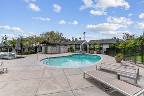 Fullerton apartment for rent - Community pool and sundeck
