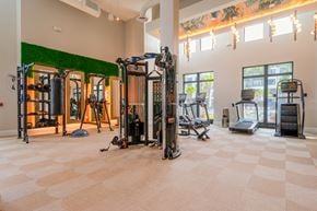 Tampa apartment for rent - Community gym with treadmills and a smitch machine at The Brooke at Rocky Point in Tampa, Florida.