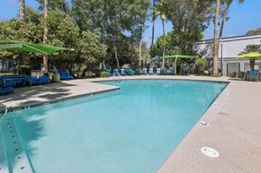 Tucson apartment for rent - the swimming pool at our apartments