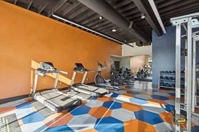 Santa Ana apartment for rent - Santa Ana, CA, Apartments Near Newport Beach - Horizon - A Fitness Center With Treadmills, Elliptical Machines, A Weight Rack, And A Cable Machine.