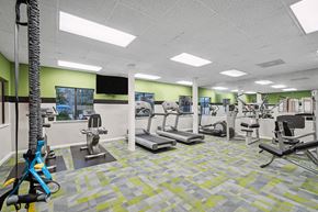 Jacksonville apartment for rent - Westside Jacksonville, FL, Apartments Near Orange Park Mall - Westland Park - A Fitness Center Features Treadmills, Exercise Machines, Large Mirrors, And Bright Overhead Lighting.