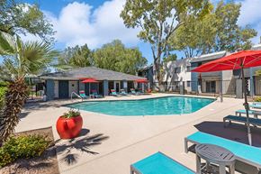 Tucson apartment for rent - South Tucson, AZ, Pet-Friendly Apartments - Solano Springs - A Swimming Pool With Lounge Chairs, Red Umbrellas, Palm Trees, And A View Of Apartment Buildings.