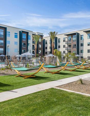 Relaxing hammock garden