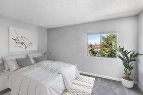 Oro Valley apartment for rent - Pet-Friendly Apartments in Oro Valley, AZ - Saddle Ridge - A Bright Bedroom With A White Bed And Accent Pillows, Soft Carpet, Large Window With Tree Views, And A Potted Plant In The Corner.