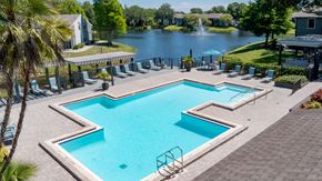 Tampa apartment for rent - Swimming pool next to the lake