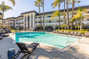San Diego apartment for rent - A pool surrounded by palm trees and lounge chairs.
