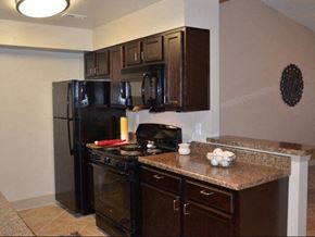 Anniston apartment for rent - Granite Countertop at Arbours at Cane Creek, Alabama, 36205