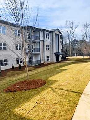 Covington apartment for rent - A tree in a mulched bed in front of a building at Arbours at Covington Apartments, Covington, GA, 30014