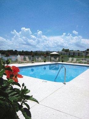 Leesburg apartment for rent - Pool View at Arbours at Silver Lake, Florida