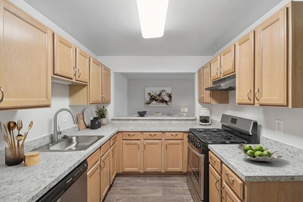 Frederick apartment for rent - Stylish Kitchen at The Apartments at Wellington Trace in Frederick, MD