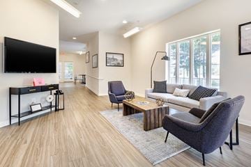 Annapolis apartment for rent - A living room with a grey chair and a white couch.