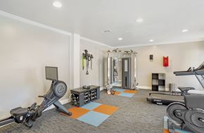 Ridgeland apartment for rent - Gym at Arbors at Natchez Trace Apartments, Mississippi, 39157