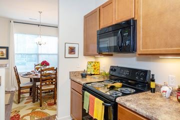 Chester apartment for rent - A kitchen with a black microwave above the stove.