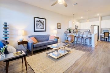 Montgomery apartment for rent - A living room with a grey couch and a coffee table.