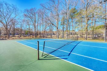 A tennis court with a net and trees in the background