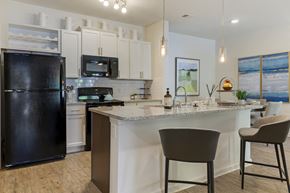 Asheville apartment for rent - Counter at Skyland Exchange Apartments, Asheville, 28803