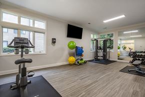 Reston apartment for rent - State Of The Art Fitness Facility at The Apartments at The Sycamores, Reston