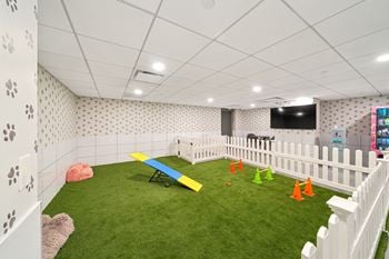 Indoor dog park