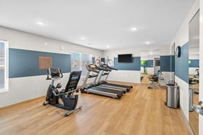 Hebron apartment for rent - the gym with treadmills and other exercise equipment at the flats at west end