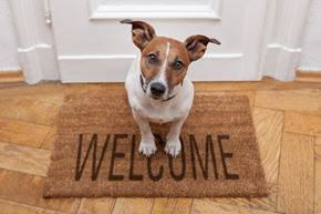 Carlisle apartment for rent - A dog is sitting on a doormat that says "WELCOME".