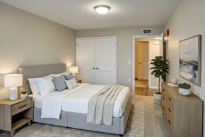 Richmond apartment for rent - A bedroom with a large bed, a nightstand with a lamp, and a plant on a dresser.