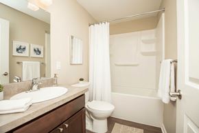 Tellico Plains apartment for rent - A bathroom with a toilet, sink, and shower.