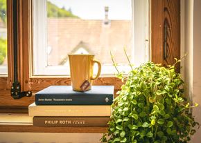Chambersburg apartment for rent - A yellow mug sits on top of a stack of books next to a green plant on a windowsill.