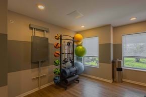 Zanesville apartment for rent - A gym room with a variety of equipment including a weight rack, exercise balls, and a squat rack.